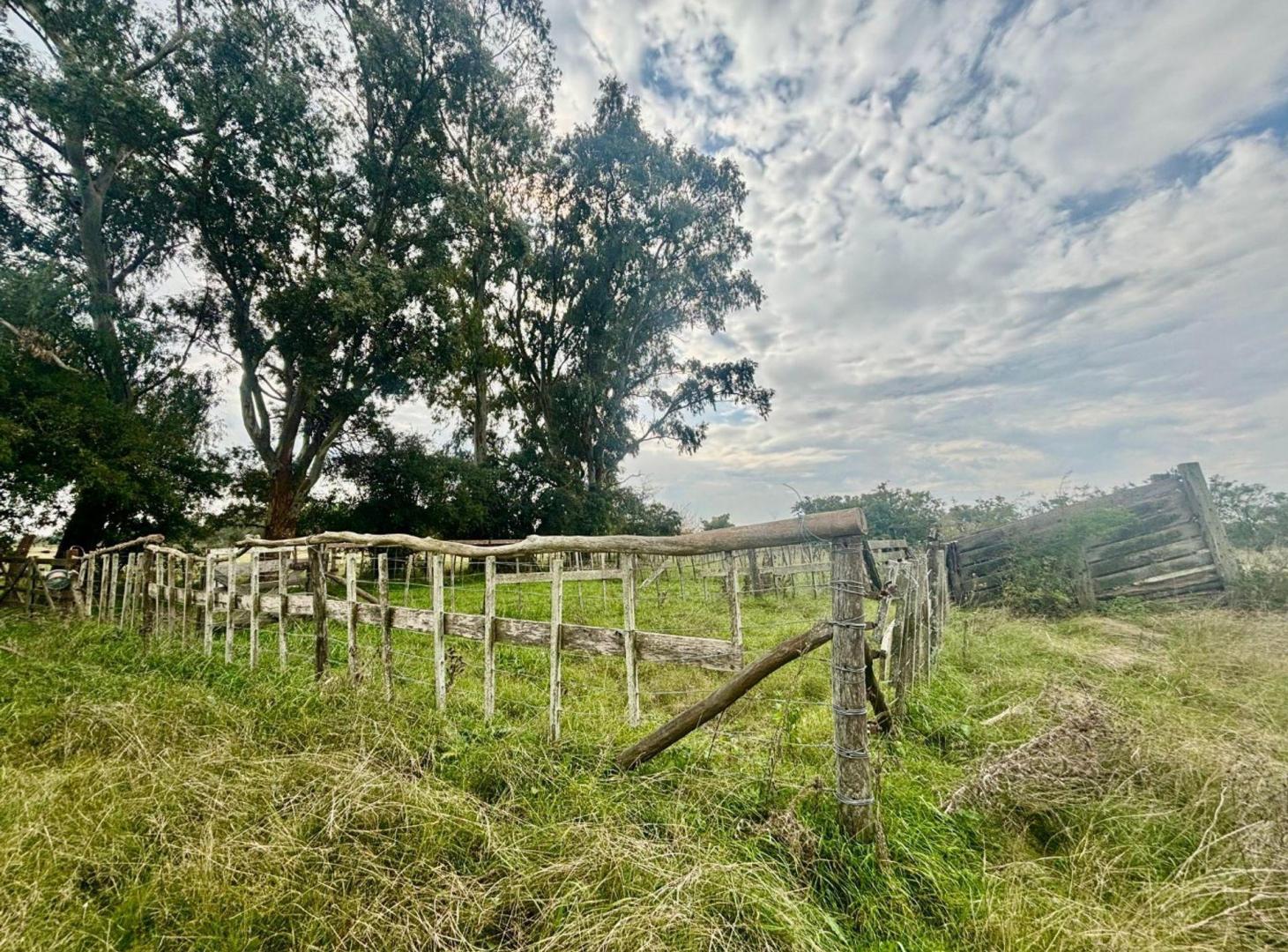 Foto de 35 Has Agrícolas – Ganaderas en Magdalena BS AS, imagen 1