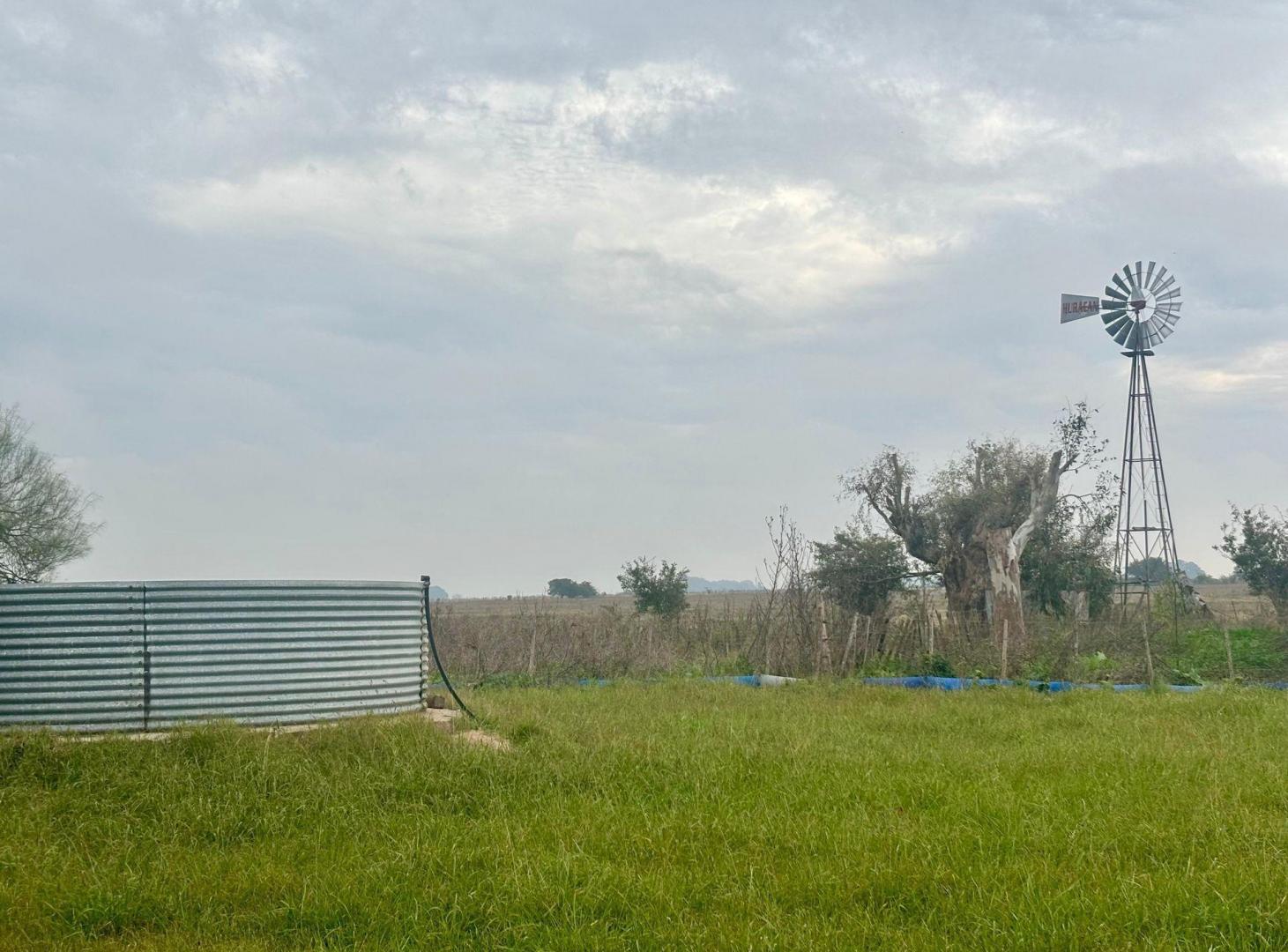 Foto de 35 Has Agrícolas – Ganaderas en Magdalena BS AS, imagen 2