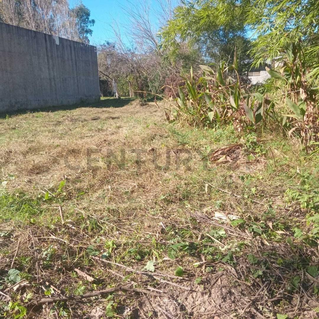 Foto de Venta Terreno en Ruta 1, KM 9.5 - San José del Rincón, Santa Fe, imagen 3