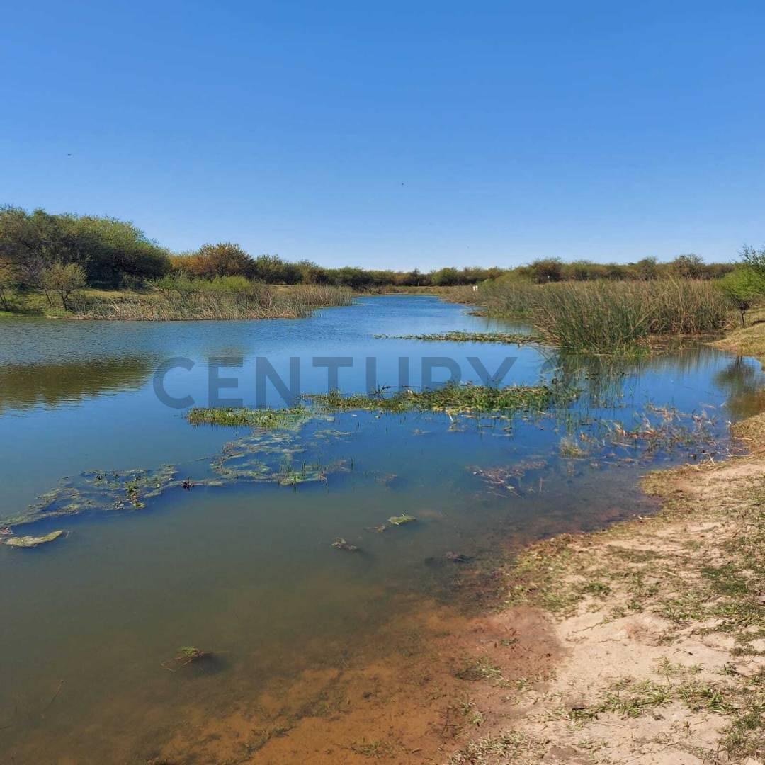 Foto de Terreno en Venta - Villa California, San José del Rincón, imagen 1