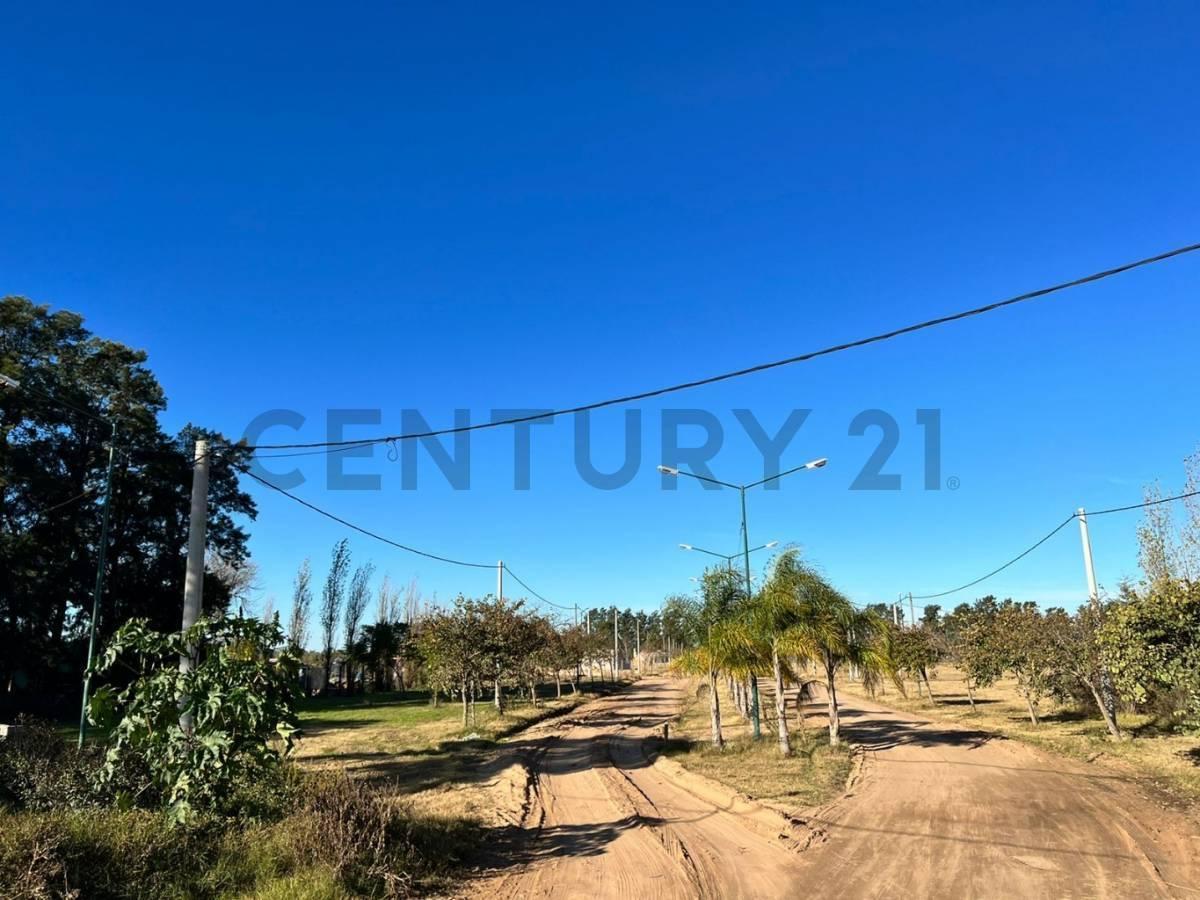 Foto de RUTA PROV Nº 1 KM 36 - LOTE N°15 EN VENTA - SANTA ROSA DE C, imagen 5