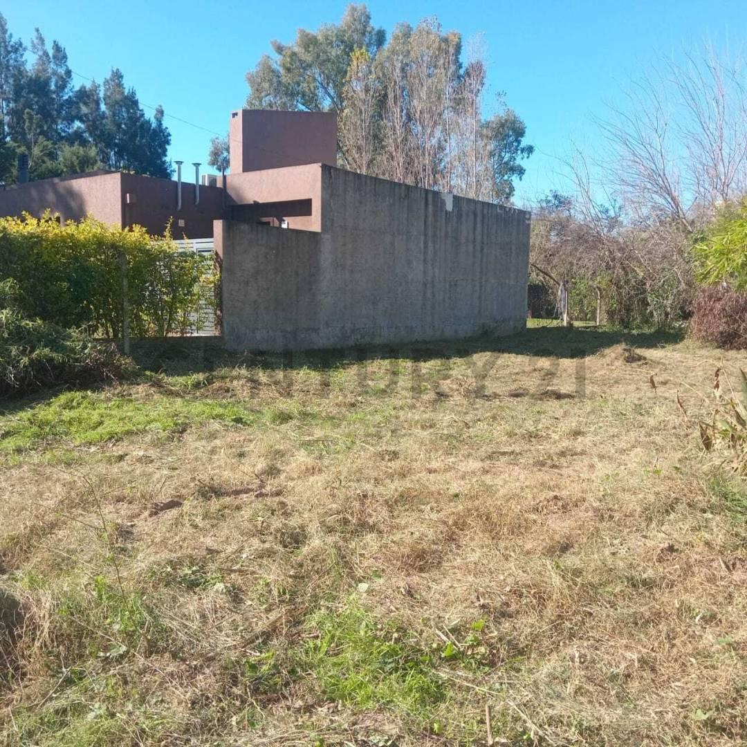 Foto de Venta Terreno en Ruta 1, KM 9.5 - San José del Rincón, Santa Fe, imagen 2