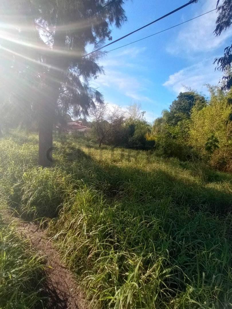Foto de Venta de Terreno en Villa California, San José del Rincón, imagen 4