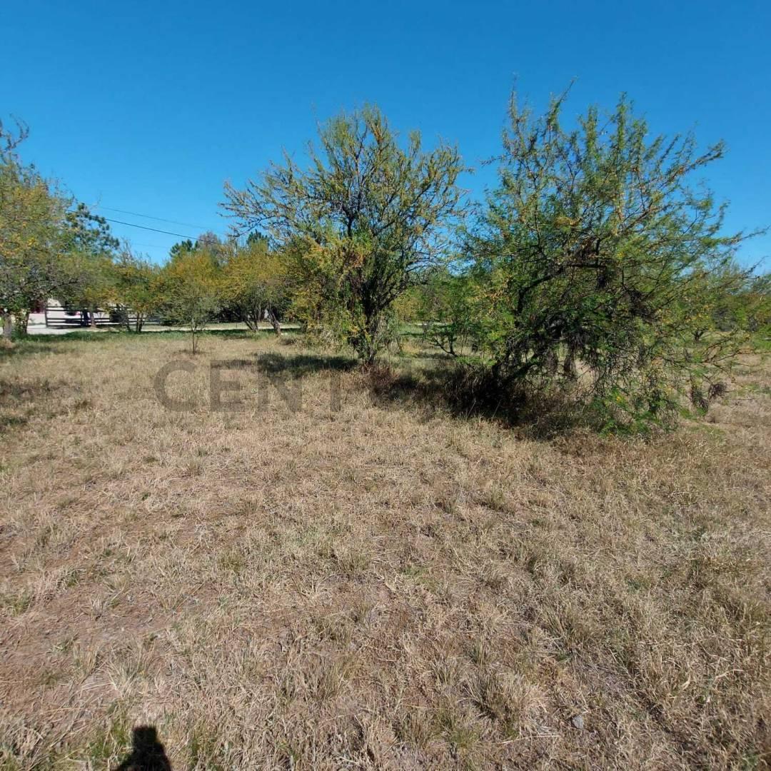Foto de Terreno en Venta - 962 m2 - Villa California, San José del Rincón, imagen 4