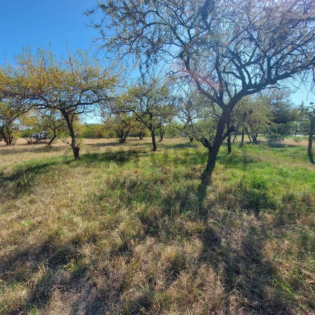 Foto de Terreno en Venta - 962 m2 - Villa California, San José del Rincón, imagen 1