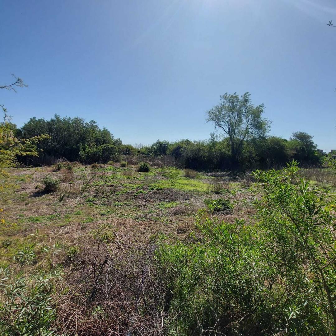 Foto de Terreno en Venta - 962 m2 - Villa California, San José del Rincón, imagen 5