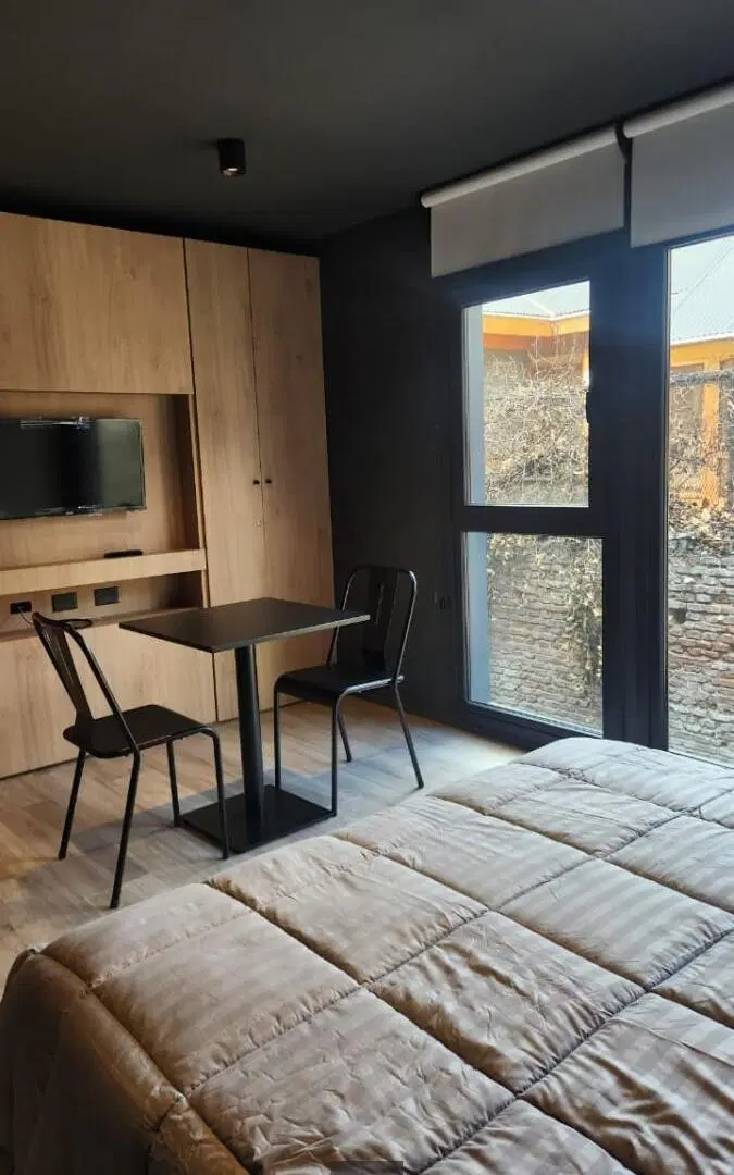 DEPARTAMENTO - SAN MARTIN DE LOS ANDES - CENTRO 3