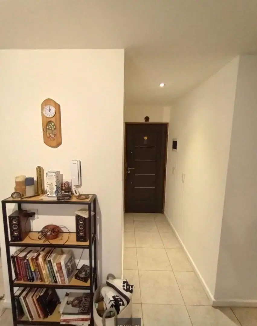 DEPARTAMENTO - SAN MARTIN DE LOS ANDES - CENTRO 5