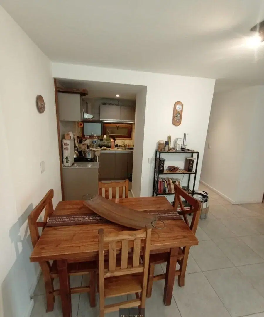 DEPARTAMENTO - SAN MARTIN DE LOS ANDES - CENTRO 4