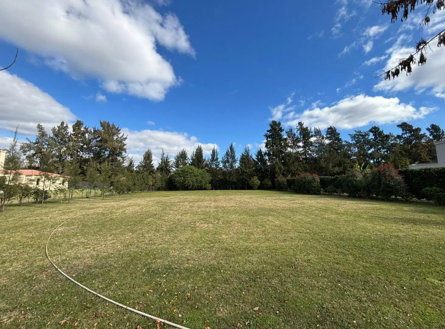 Terreno en Tortugas C.C 3