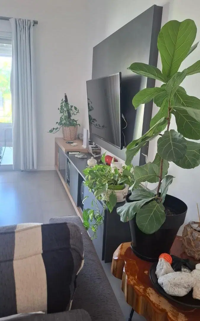 Divina propiedad en una zona donde reina el relax, en Baradero - Maipu 1655 8