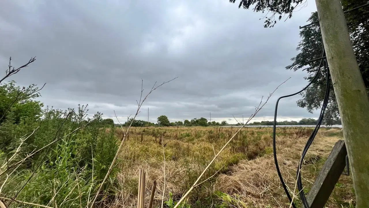 Excelente campo de 8 hectáreas dividido en 3 fracciones en muy buena zona Av los Inmigrantes,Escobar 4