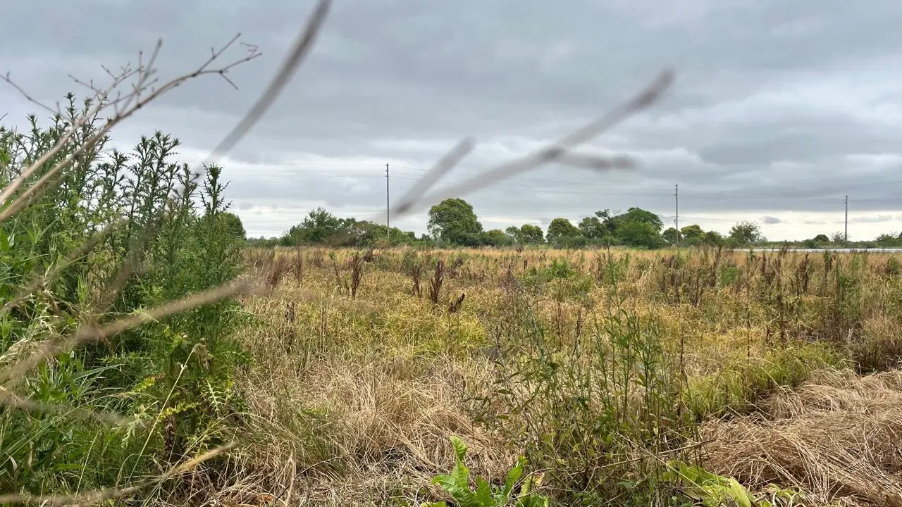 Excelente campo de 8 hectáreas dividido en 3 fracciones en muy buena zona Av los Inmigrantes,Escobar 3