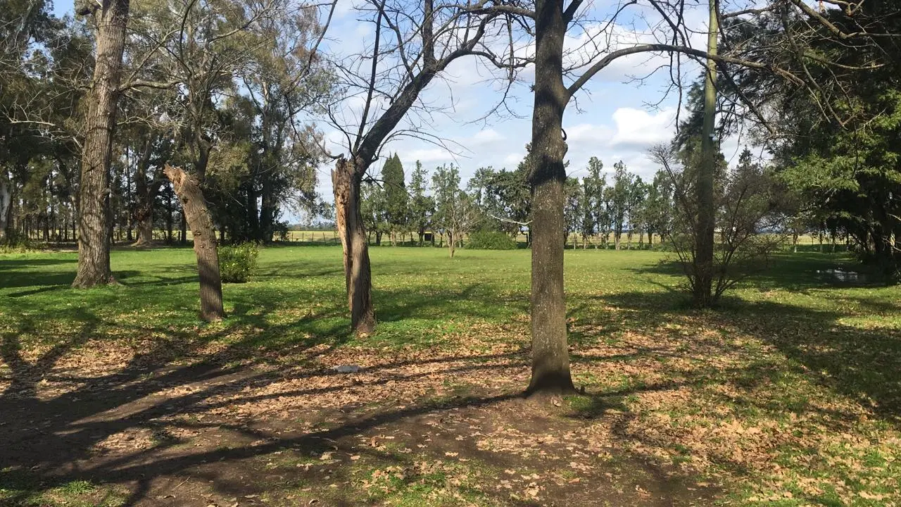 5 Ha. Increíble ubicación para inversión/ Fabrica - Ruta 9 - Acceso Baradero 2