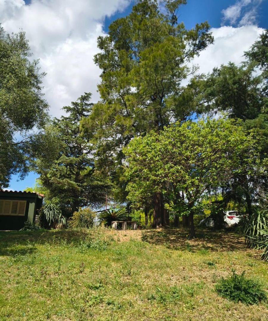 Foto de Casa en Venta en Villa Ani Mi, La Granja, imagen 4