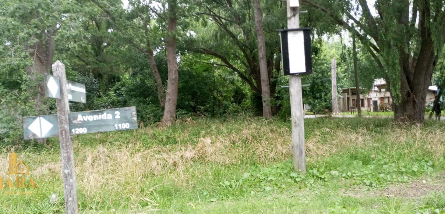Foto de Terreno en Costa del Este, imagen 5
