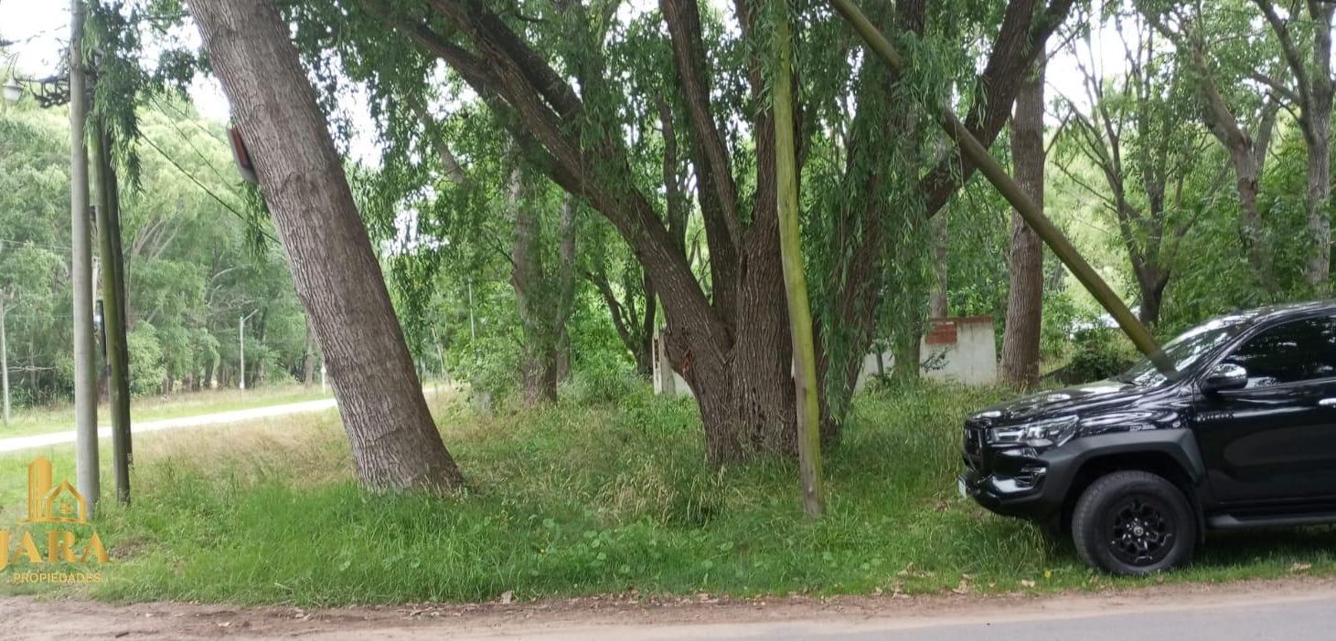 Foto de Terreno en Costa del Este, imagen 5