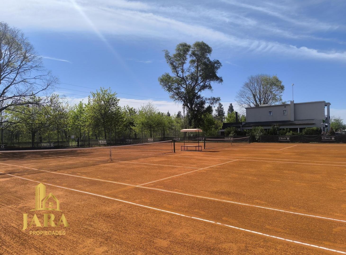 Foto de Venta Lote San Juan Chico, imagen 3