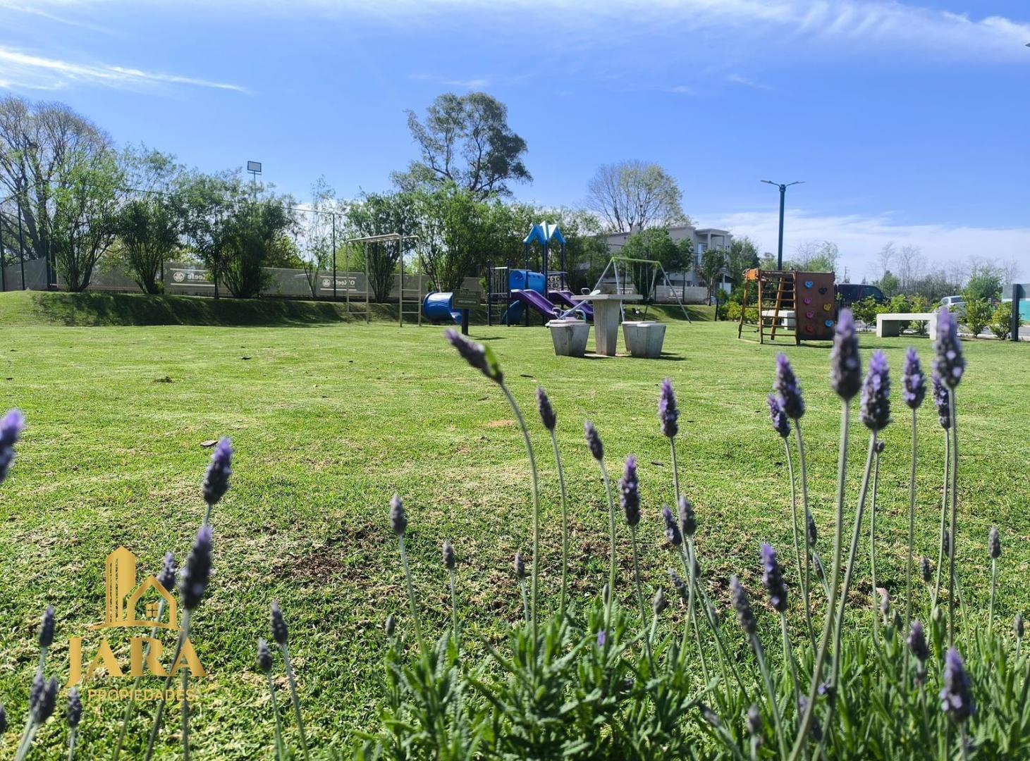 Foto de Venta Lote San Juan Chico, imagen 2