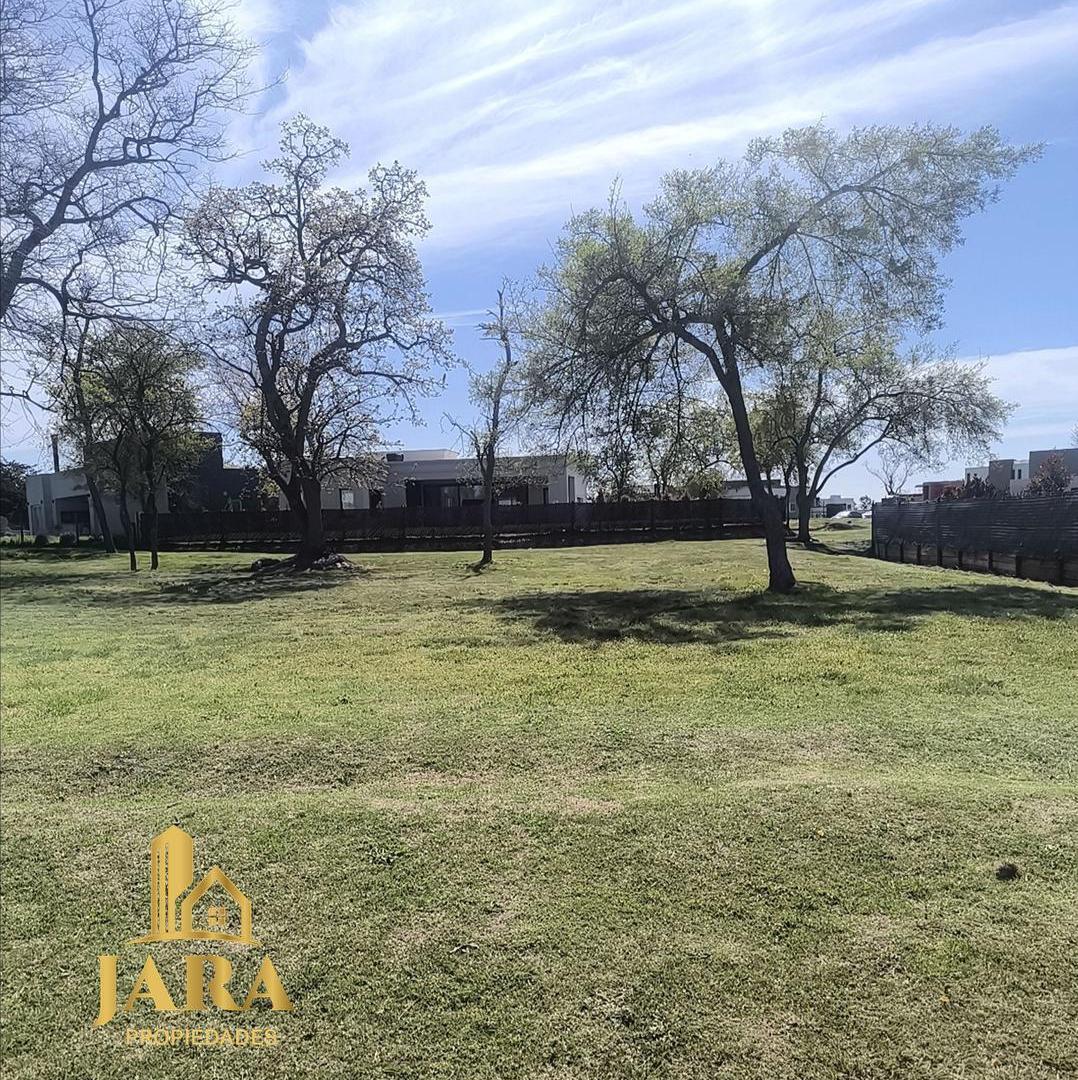 Foto de Venta de lote en San Juan Chico, imagen 1