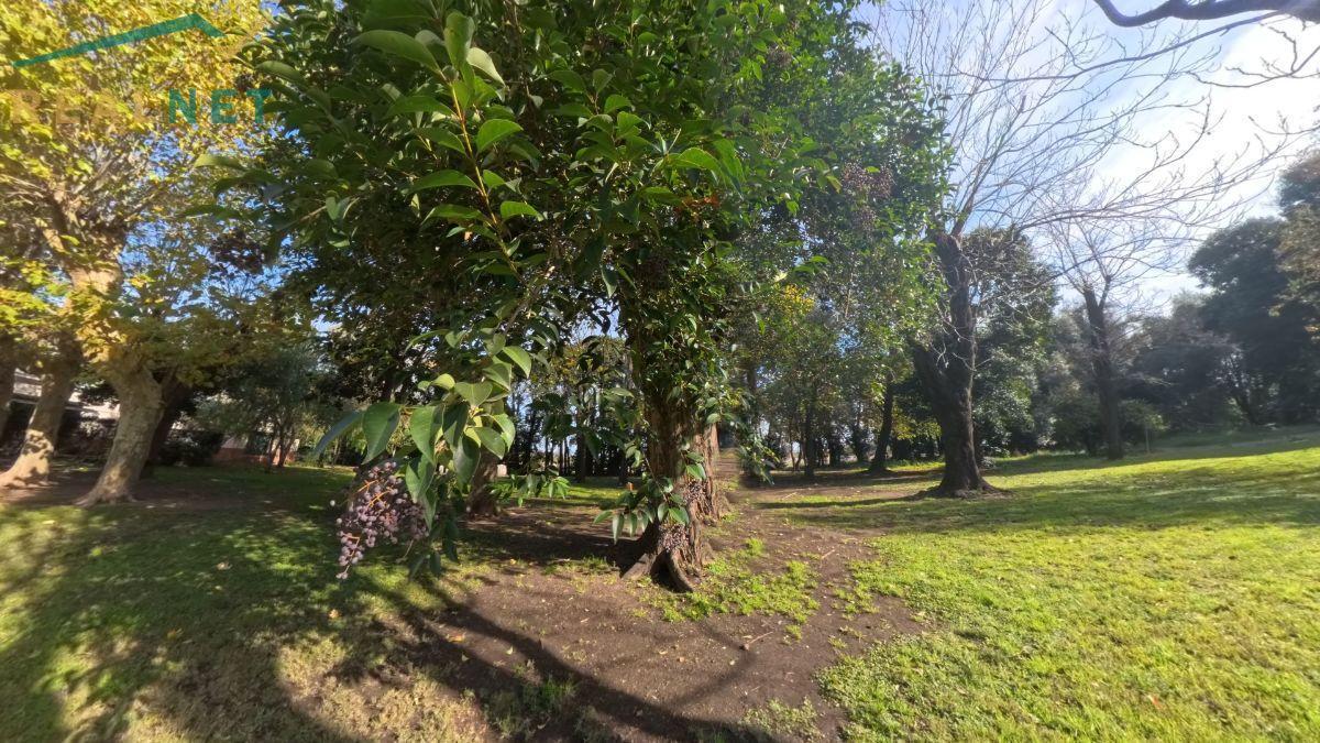 Foto de Chacra con casa, galpón y casa de huéspedes en Venta - en Suipacha con, imagen 5
