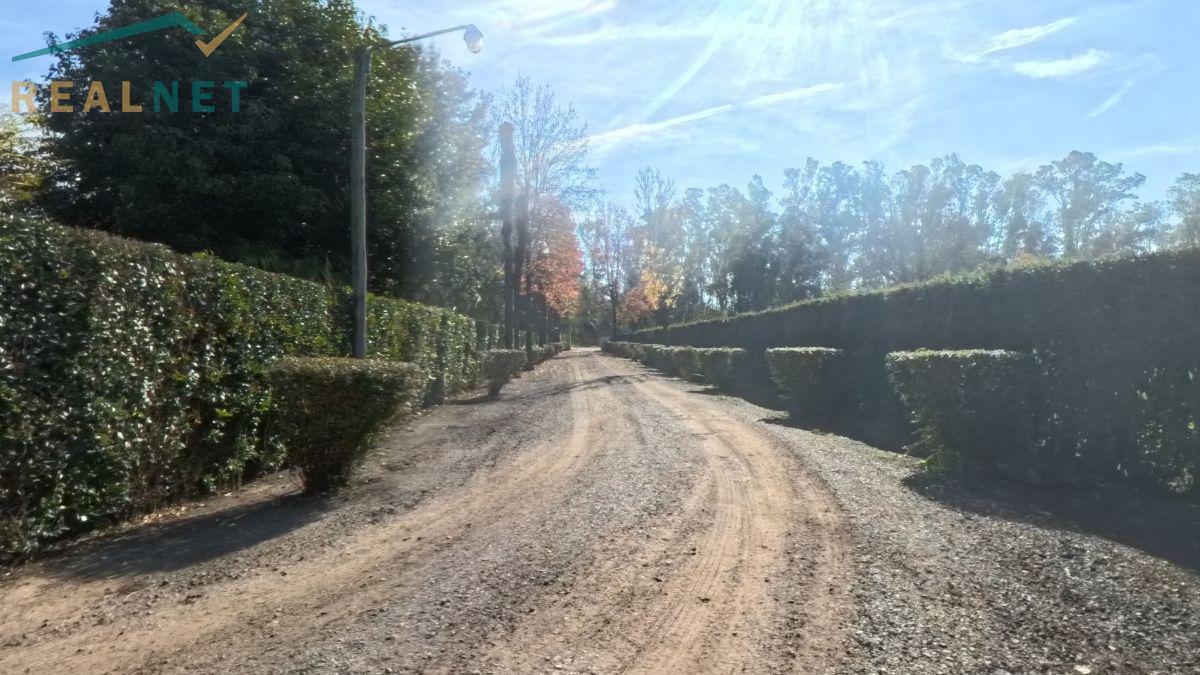 Foto de Chacra con casa, galpón y casa de huéspedes en Venta - en Suipacha con, imagen 4