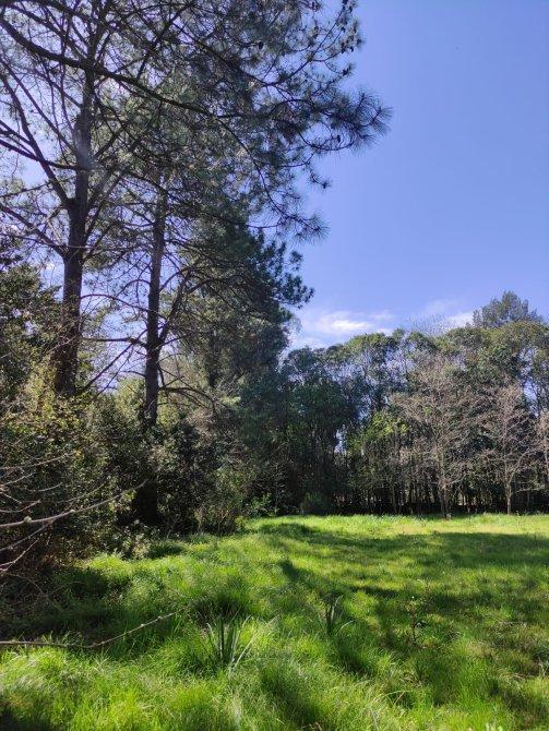 Venta | Terreno con Doble Acceso 920m2 | Guernica | San Vicente