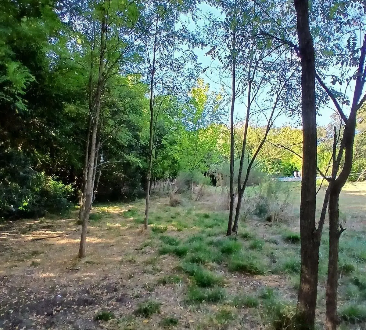 Fracción de Lote | Guernica | San Vicente 4