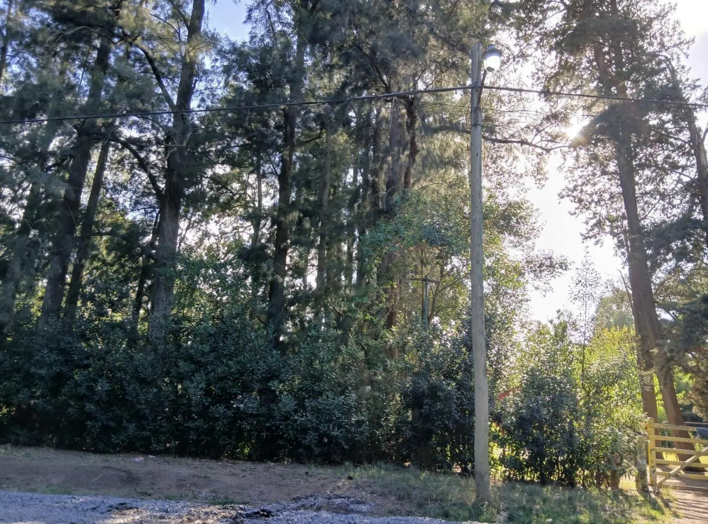 Fracción de Lote | Guernica | San Vicente 5