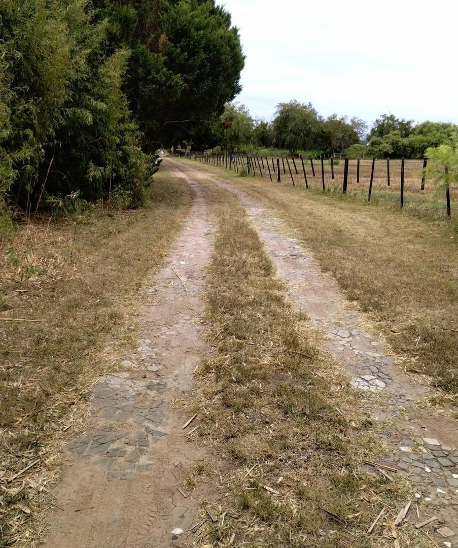 Foto de Chacra con Casa y Laguna en Lomas de Río Luján, Cardales, imagen 3