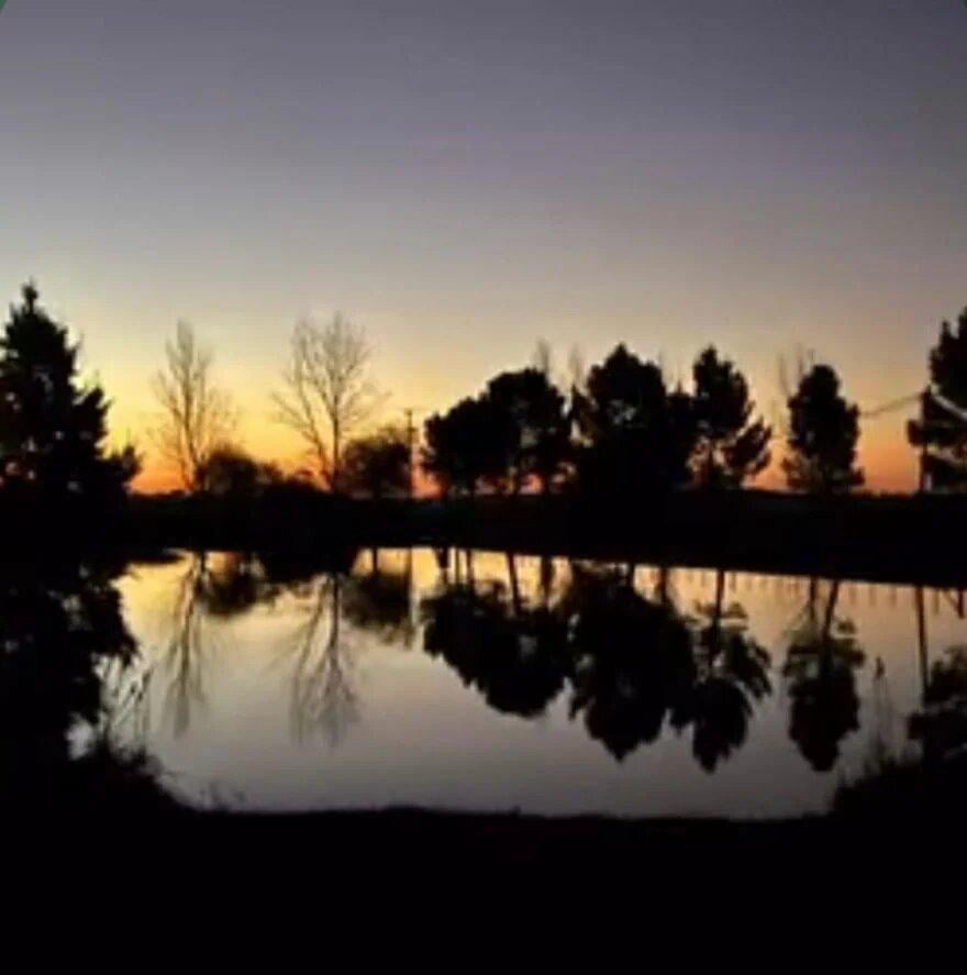 Foto de Terreno en Abbott, imagen 5