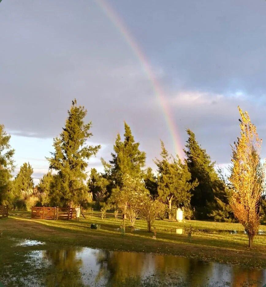 Foto de Terreno en Abbott, imagen 2