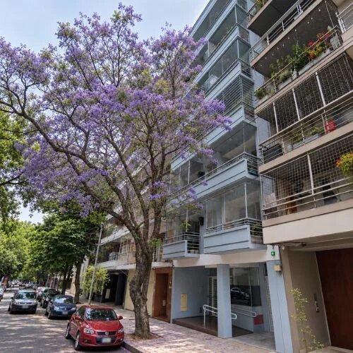 Foto de Semipiso 3 ambientes | Venta | Colegiales | frente, balcón con, imagen 2