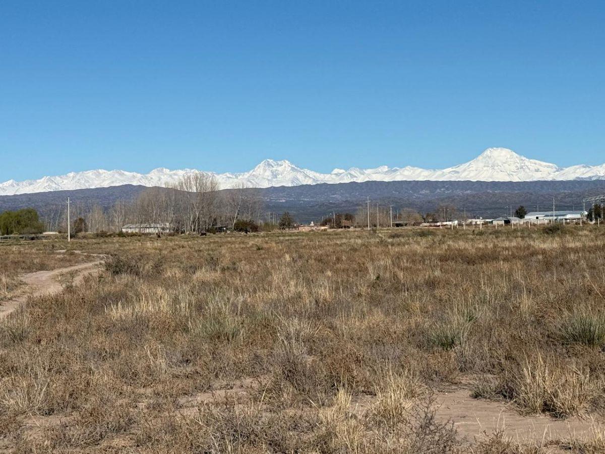 Foto de FRACCIÓN EN VENTA SOBRE RUTA 7 – PERDRIEL, imagen 2