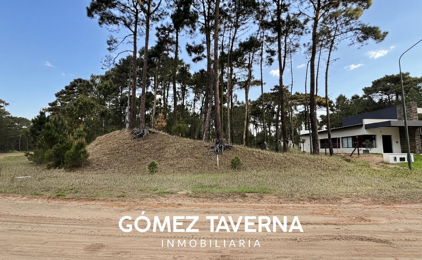 Foto de Terreno en Venta, Alamos II, Pinamar., imagen 2