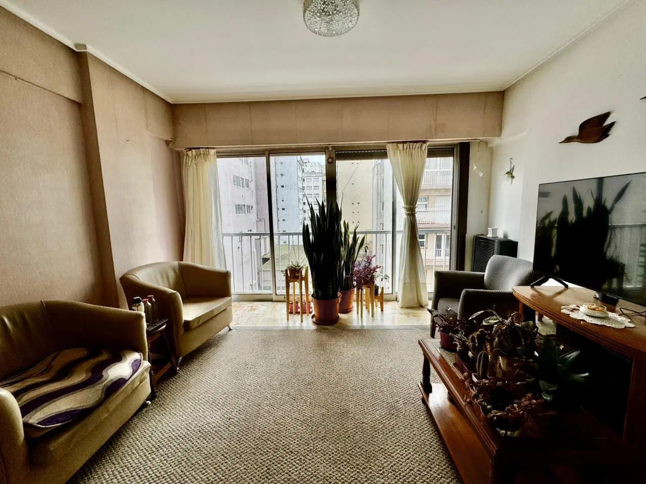 Departamento 3 ambientes en zona aldrey 1
