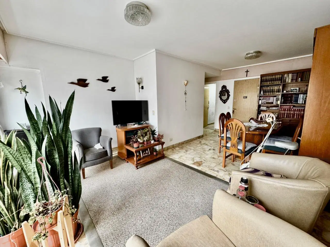 Departamento 3 ambientes en zona aldrey 4