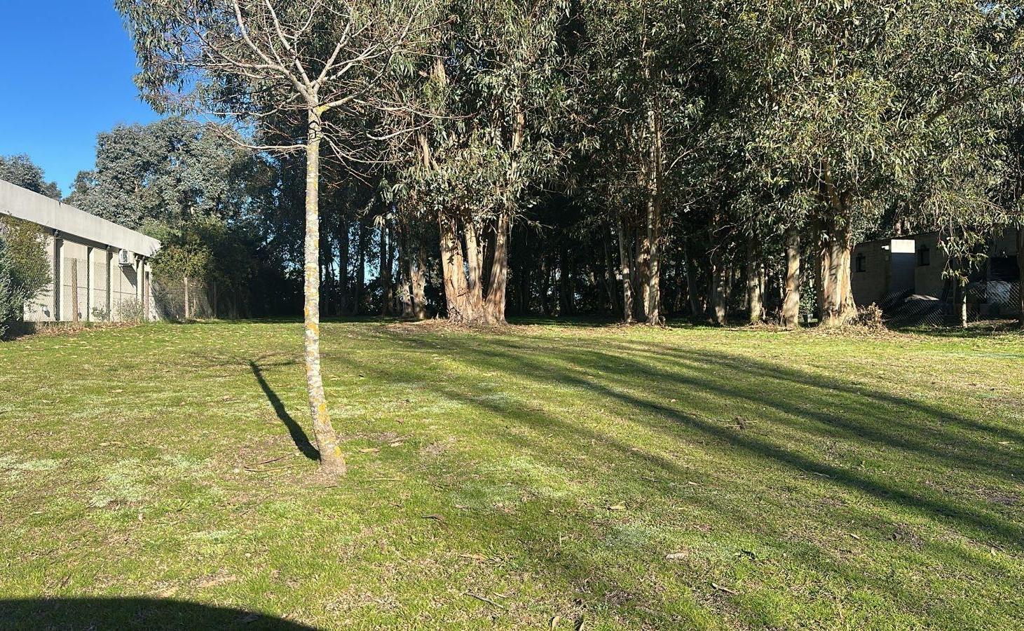 Foto de Terreno en venta Arenas del Sur Mar del Plata, imagen 1