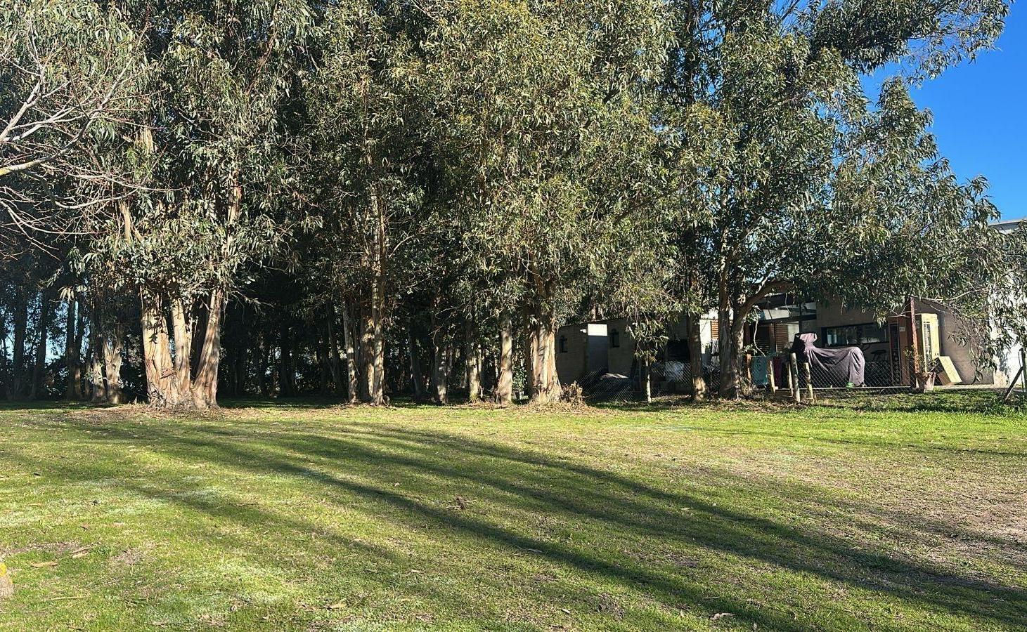 Foto de Terreno en venta Arenas del Sur Mar del Plata, imagen 3