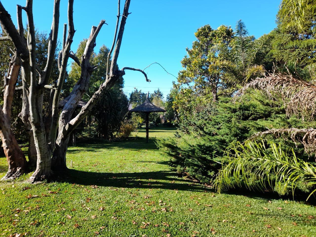 Foto de ESPECTACULAR CASA QUINTA SOBRE 2 AMPLIOS LOTES EL PATO, imagen 5
