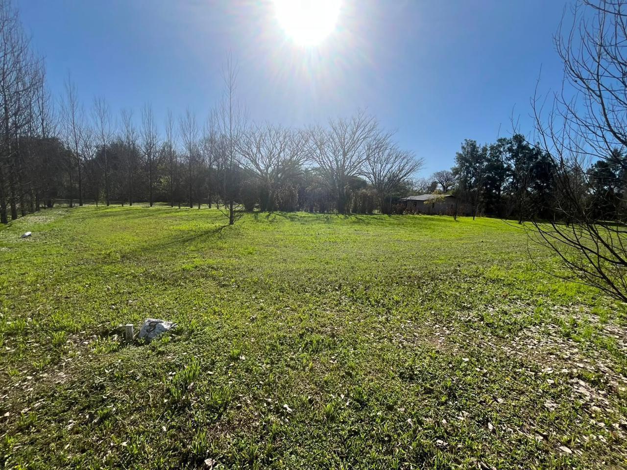 Foto de Terreno en El Timbo, imagen 2