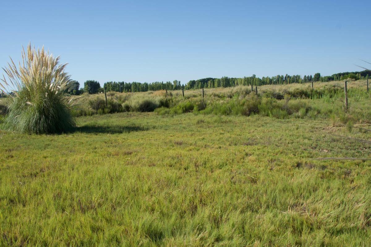 Foto de LOTE EN TUNUYAN - BARRIO SEMI PRIVADO, imagen 5