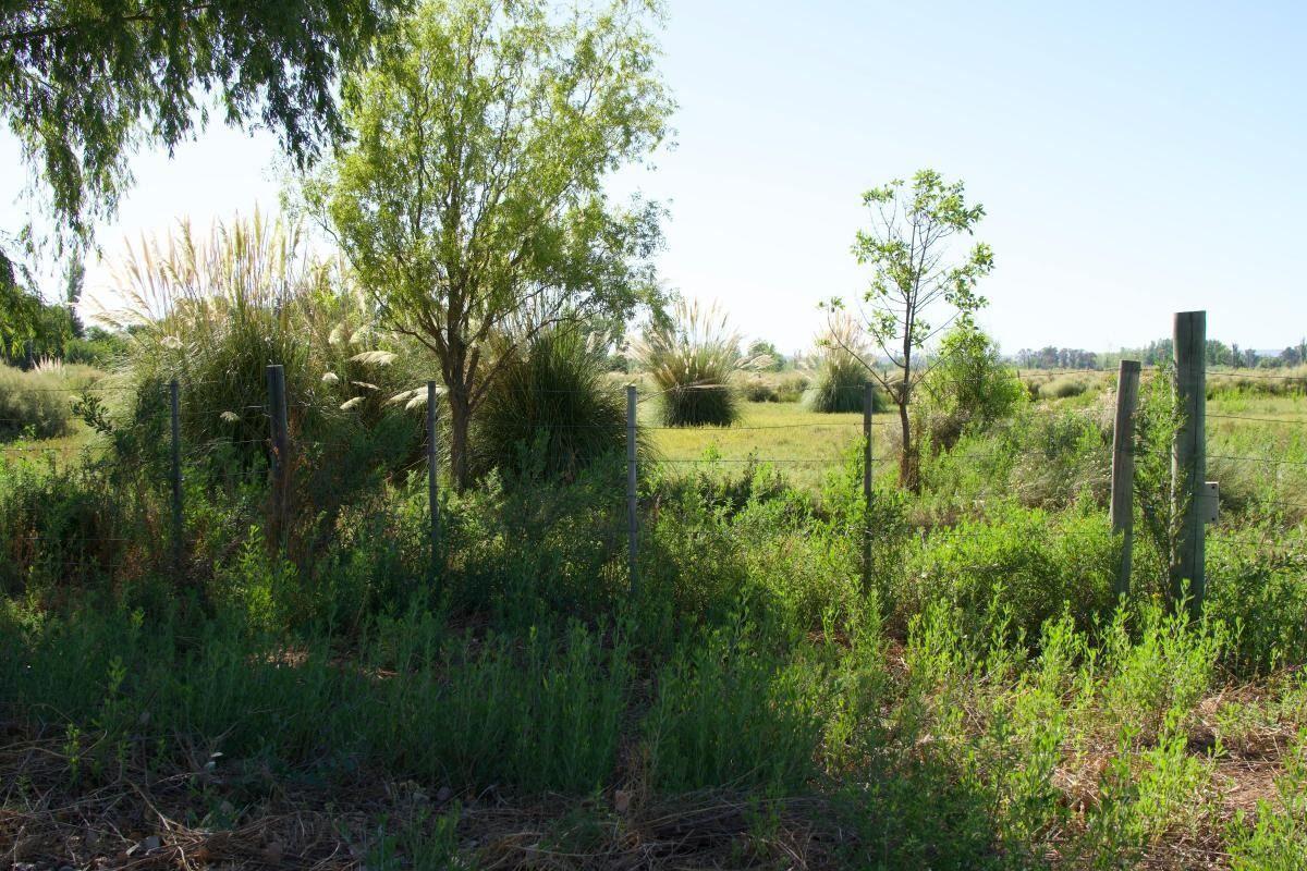 Foto de LOTE EN TUNUYAN - BARRIO SEMI PRIVADO, imagen 5