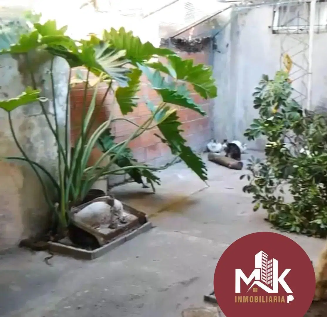 Casa en venta en Cañuelas centro | 3 dormitorios | Apta desarrollo inmobiliario 5