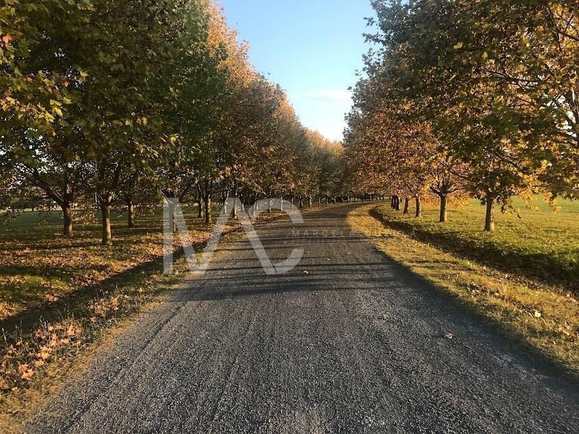 Foto de Terreno Lote en Venta en La Macarena, Exaltación de la Cruz, G.B.A. Zona Norte, imagen 3