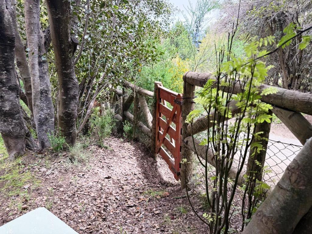 Foto de Casa - Villa Pehuenia, imagen 3