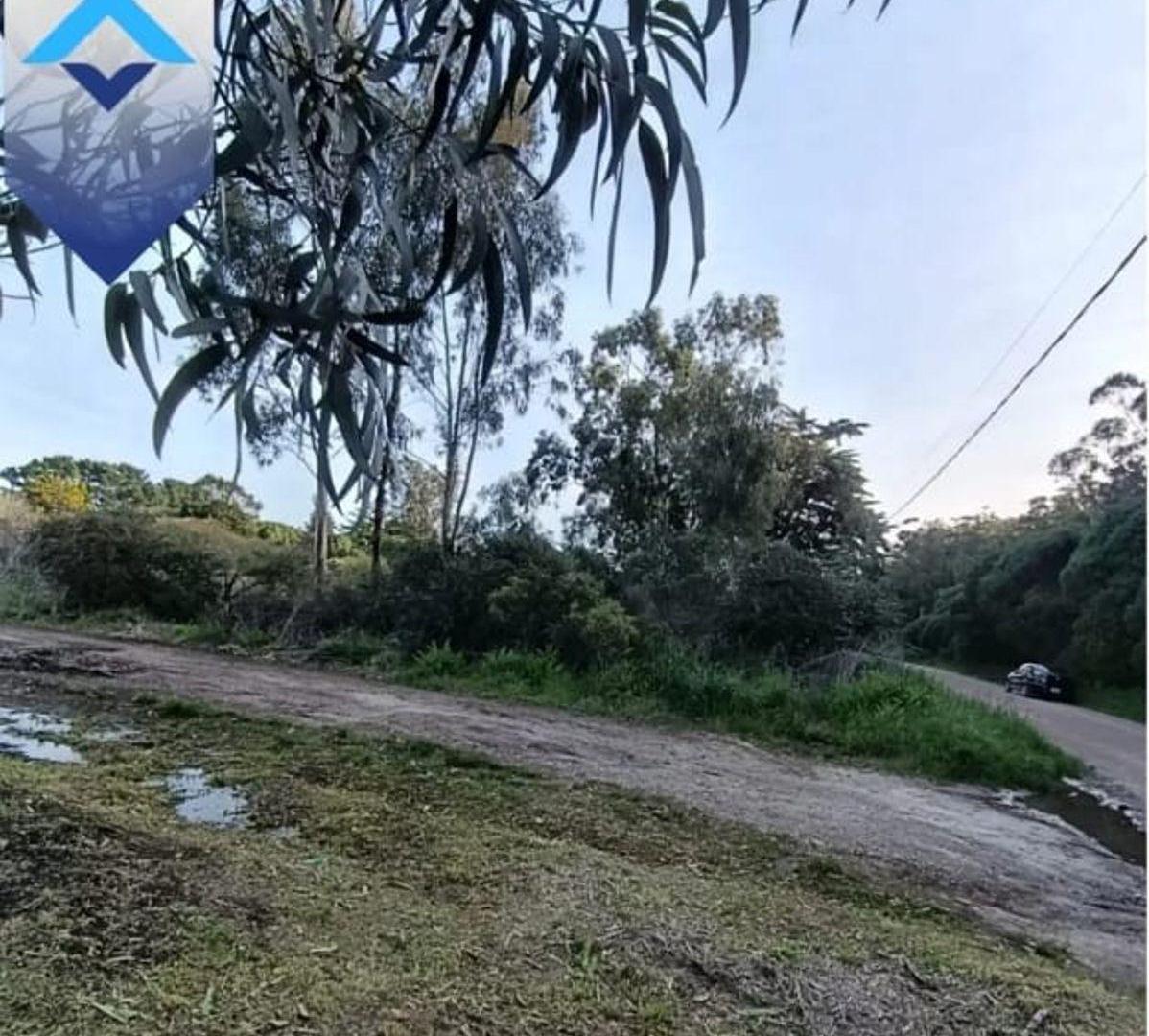 Foto de Terrenos en Venta en Mar Del Plata, imagen 2