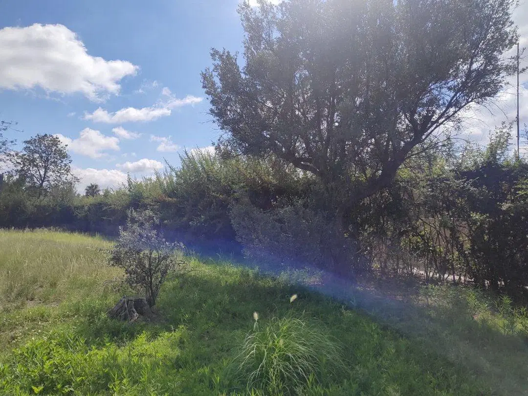VENTA LOTE DE 1.215 M2 B° PORTAL DE VISTALBA 2