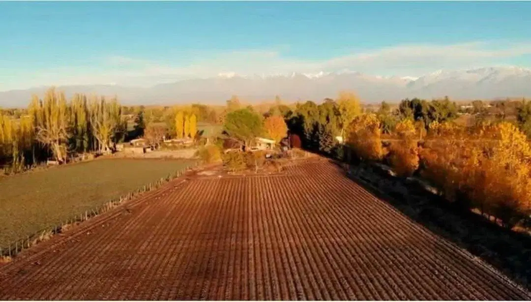 Finca de 4 Hectareas en Venta Tunuyán 3