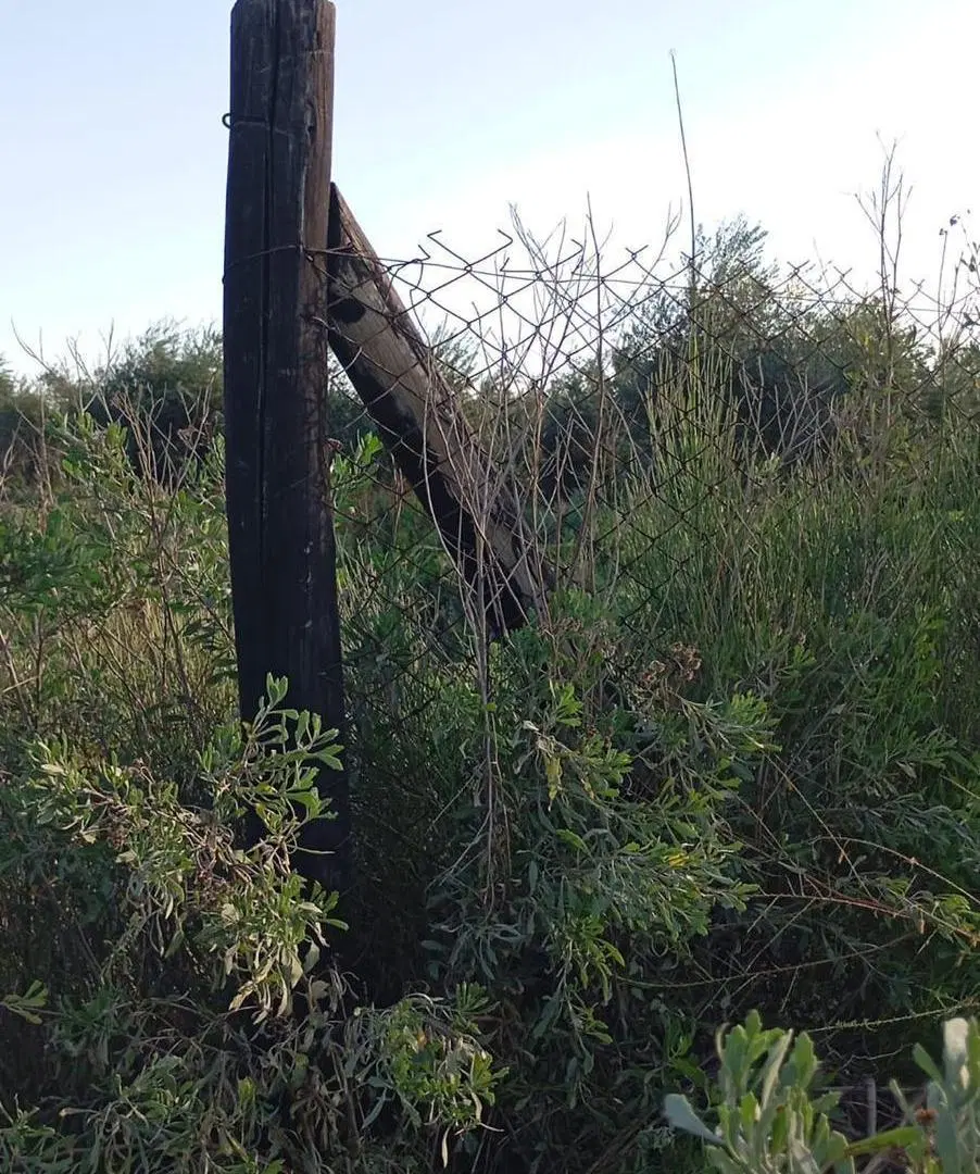 Venta terreno de 2000 m2 en Corralitos 5